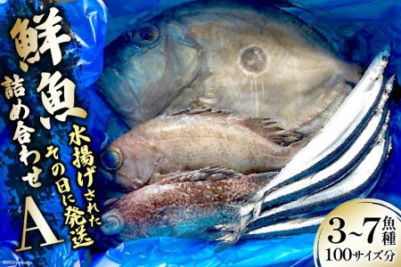 鮮魚 詰め合わせ A 3〜7魚種 100サイズ分 [さんりくみらい 宮城県 気仙沼市 20563531] 産地直送 旬 魚介 魚 さかな レビューキャンペーン 感想