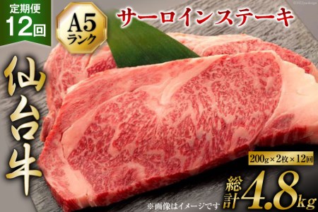 12   䋍 A5 T[C Xe[L 200g×2×12 v4.8kg [CsYU {錧 Cs 20565332]  a јa 12
