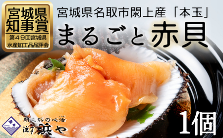 [閖上赤貝]まるごと赤貝 1個入り