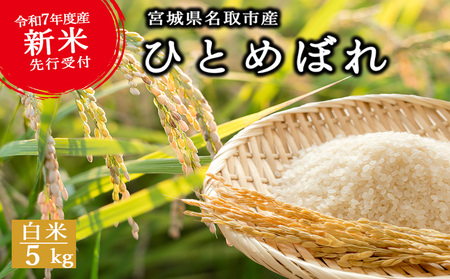 sVĐsttߘa7NY  ЂƂ߂ڂyāEāz 5kg@{錧sY