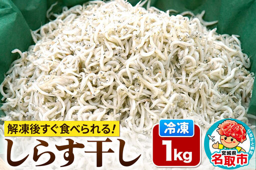しらす干し [添加物不使用] 1kg 宮城県 名取市 いちまる水産