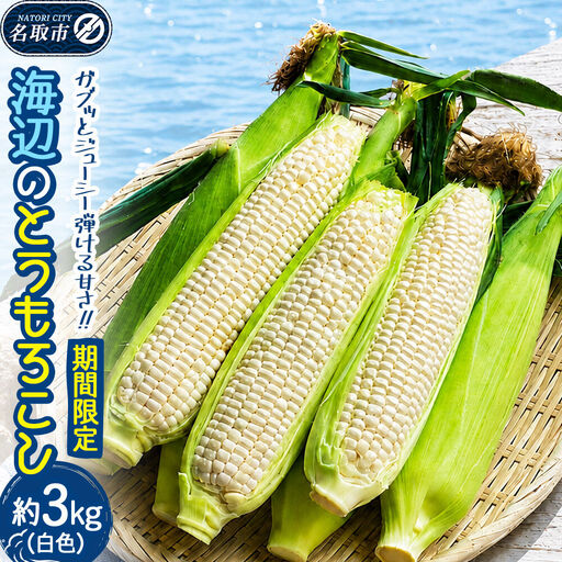 [期間限定]ガブッとジューシー弾ける甘さ!海辺のとうもろこし[白色]約3kg(7〜8本程度)ホワイトコーン