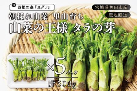 [宮城県角田市産]産地直送 朝採れ山菜 タラの芽 500g【12月下旬以降順次発送】