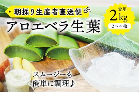 yHpẑ AGxt 2kgi2`4j3N@{錧Y