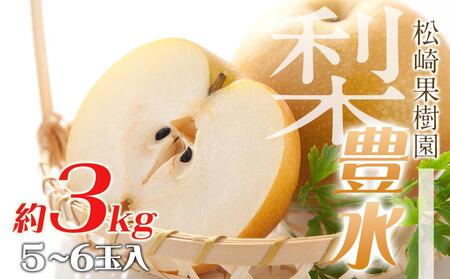 梨「豊水」約3kg(5〜6玉入)[松崎果樹園]