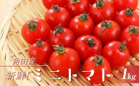 [みうら農園]角田産 新鮮!ミニトマト 1kg