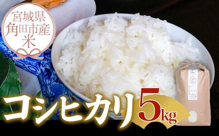 宮城県角田市産米[令和6年産]コシヒカリ 5kg×1