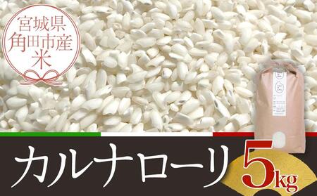 宮城県角田市産米[令和6年産]カルナローリ(CARNAROLI)5kg×1