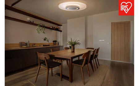 照明 LEDシーリングライト パネルライト 調光調色 12畳 CEA-A12DLP-S