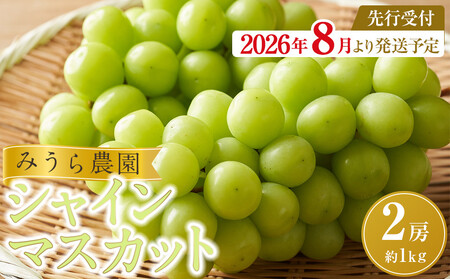 �y2026�N��������s�\��z�V���C���}�X�J�b�g �Q�[�i��Pkg�j�y2026�N9����{�ȍ~�����z