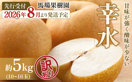 �y2026�N��s�\��^�󂠂�z�y�n��ʎ����z���u�K���v��5kg�i10�`16�ʓ��j8�����{�`��������