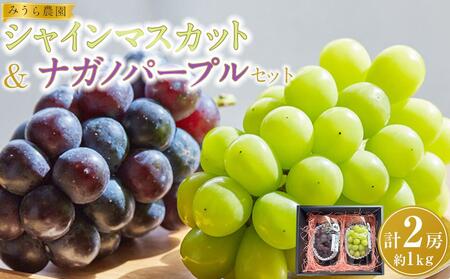 【先行予約】シャインマスカット／ナガノパープル セット（各1房・計2房 約1kg）【8月下旬以降より順次発送】｜シャインマスカット ナガノパープル ぶどう 葡萄 宮城県角田市 フルーツ 果物 セット