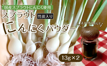 XvEgɂɂpE_[(|Y)13g×2@ YXvEgɂɂgpAHp|Ygp