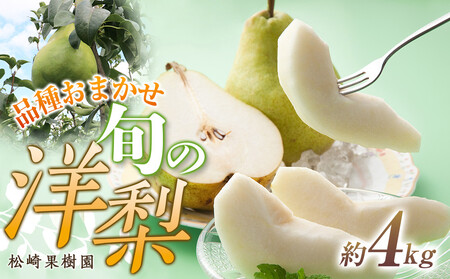 品種おまかせ旬の洋梨 約4kg[松崎果樹園] | 洋梨 くだもの 角田