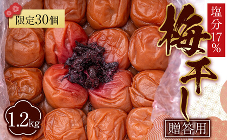 角田市 岸浪園 梅干し 贈答用1.2kg 塩分約17％ 限定30個