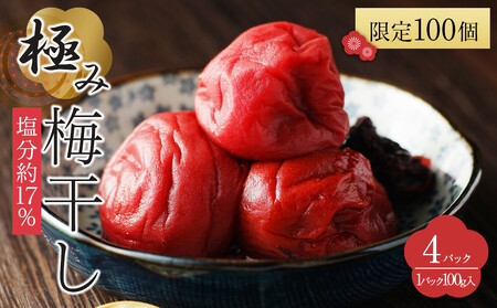 角田市 岸浪園 極み梅干し 塩分約17% 100g×4パック 限定100個