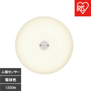 LED小型シーリングライト 人感センサー付 　電球色 SCL12L-MS-U2