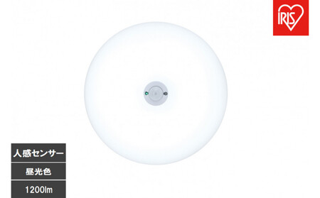 LED小型シーリングライト 人感センサー付 昼光色 SCL12D-MS-U2