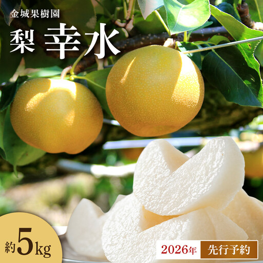 金城果樹園 梨「幸水」約5kg(10〜16玉入)2026年8月中旬〜 | 梨