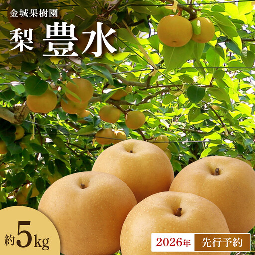 金城果樹園 梨「豊水」約5kg(8〜14玉入)2026年9月初旬〜 | 梨