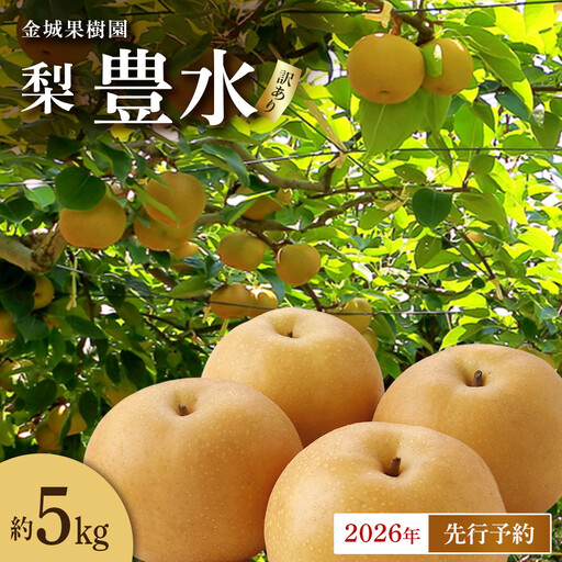 [訳あり/2026年先行予約]金城果樹園 梨「豊水」約5kg(8〜14玉入)2026年9月初旬〜順次発送