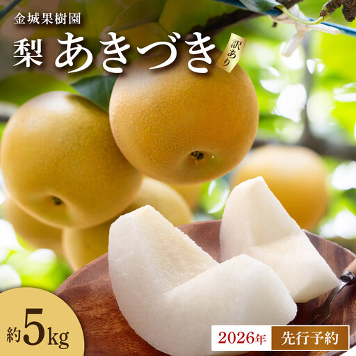 [訳あり/2026年先行予約]金城果樹園 梨「あきづき」約5kg(8〜14玉入)2026年9月中旬〜順次発送