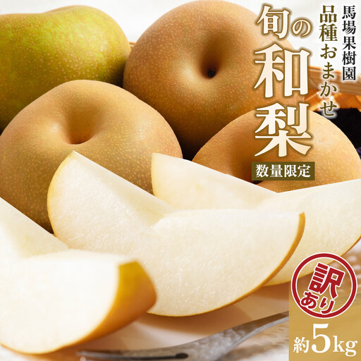 [2026年先行予約/訳あり][馬場果樹園]品種おまかせ 旬の和梨 約5kg 8月中旬〜順次発送