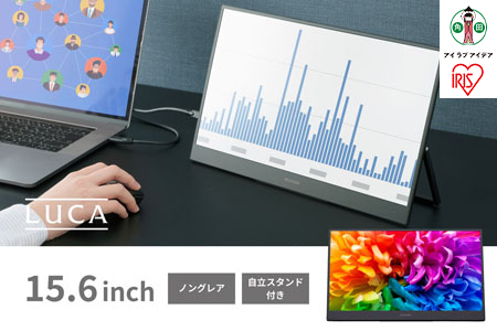 ポータブルモニター DP-BF162S-B モニター モバイルモニター 15.6