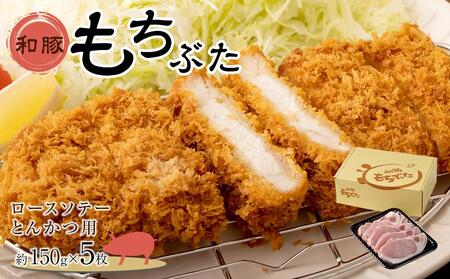 豚肉 『もちぶた』ロース ソテー・とんかつ用 750g ( 約150g × 5枚 )