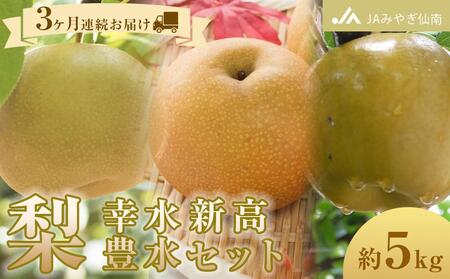 [JAみやぎ仙南]梨「幸水」「豊水」「新高」セット 約5kg 3ヶ月連続お届け[旬のフルーツ、果物、旬のなし、新鮮梨、梨、幸水なし、豊水なし、新高なし]