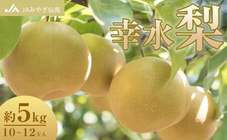 [JAみやぎ仙南]梨「幸水」約5kg (10〜12玉入)[旬のフルーツ、果物、旬のなし、新鮮梨、梨、幸水なし]