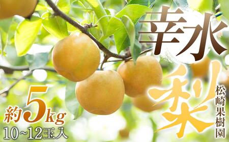 【松崎果樹園】梨「幸水」約5kg（10～12玉入）【旬のフルーツ、果物、旬の梨、新鮮梨、幸水梨】