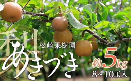 [松崎果樹園]梨「あきづき」約5kg(8〜10玉入)[旬のフルーツ、果物、旬の梨、新鮮梨、あきづき水梨]