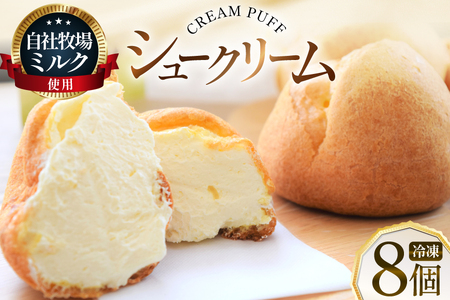 シュークリーム 冷凍 8個 [岩瀬牧場 北海道 砂川市 12260955]