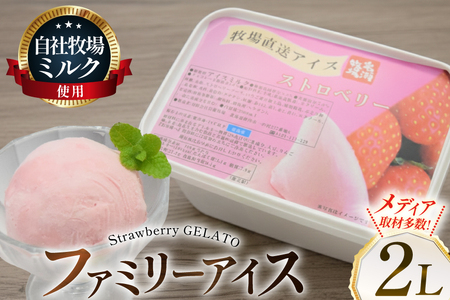 テレビで紹介! アイス ジェラート ストロベリー 2L ファミリーサイズ ジャンボサイズ [岩瀬牧場 北海道 砂川市 12260964]