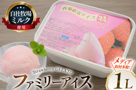 テレビで紹介! アイス ジェラート ストロベリー 1L ファミリーサイズ [岩瀬牧場 北海道 砂川市 12260968]
