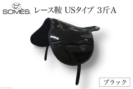 SOMES@[XƁ@US^Cv@R҂`iubNj
