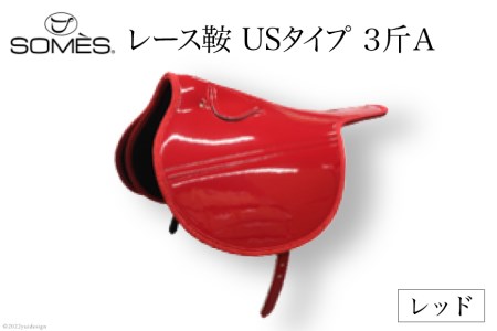 SOMES@[XƁ@US^Cv@R҂`ibhj
