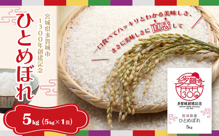 白米 多賀城産ひとめぼれ 精米5kg(5kg×1袋)5年産 【04209-0213】 白米 ひとめぼれ 5年産 白米 宮城米 精米