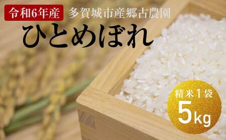 [令和6年産]多賀城市産郷古農園ひとめぼれ 精米5kg(5kg×1袋) [04209-0280]