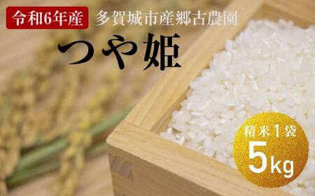 【令和6年産】多賀城市産郷古農園つや姫　精米5kg（5kg×1袋）　【04209-0281】