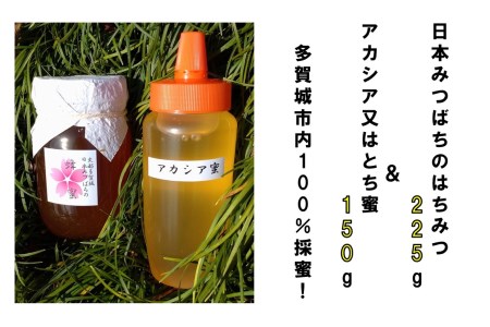 A004　史都多賀城日本みつばちの蜂蜜225gとアカシア又はとち蜜150g