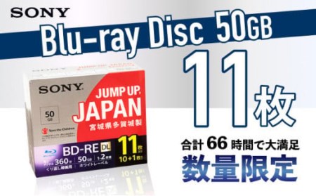 ソニー ブルーレイディスク 2層(50GB) 11枚パック 【04209-0174】 日用品 ブルーレイディスク 日用品 日本製 高品質 ストレージ 保存用 11BNE2VPPS2