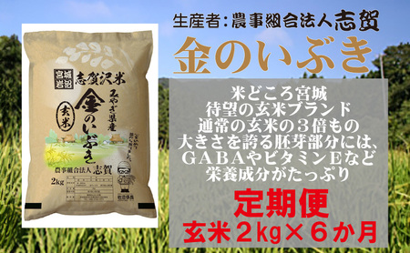 [6ヶ月定期便]宮城県岩沼市産 志賀沢米 金のいぶき 玄米2kg