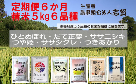 [令和7年産新米]米 定期便 6ヶ月 食べ比べセット 5kg 志賀沢米 岩沼産 ひとめぼれ だて正夢 ササニシキ つや姫 ササシグレ つきあかり お米 白米 精米 ブランド米 5キロ ご飯 ライス 宮城県 岩沼市