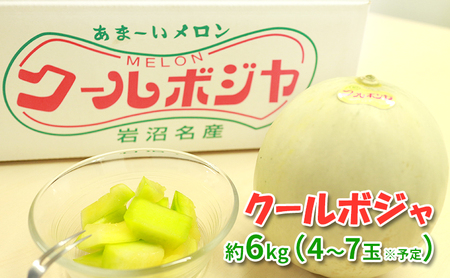 幻のメロン!クールボジャ 約6kg(4〜7玉) メロン