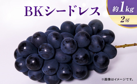 先行予約 ぶどう BKシードレス 約1kg 2房 ブドウ 葡萄 フルーツ 果物 くだもの 巨峰 マスカットベリーA 旬のフルーツ 旬の果物 季節のフルーツ 季節の果物 宮城 宮城県 岩沼市