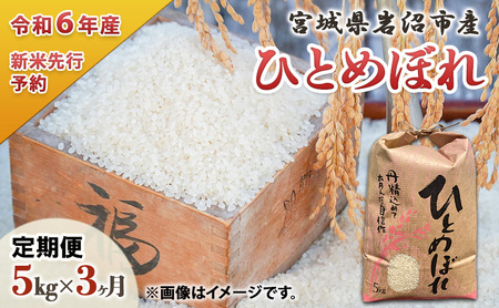 定期便 3回 (3か月間定期便) 令和6年度 宮城県産 ひとめぼれ 5kg お米 こめ コメ