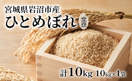 玄米 ひとめぼれ 10kg 米 ブランド米 単一原料米 10キロ おこめ