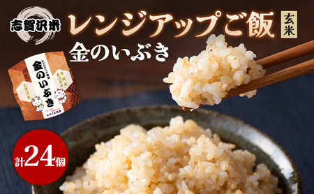 【令和7年度産新米】レトルト 金のいぶき 志賀沢米レンジアップごはん24個セット 常温 常温保存 レトルト食品 パックご飯 パックごはん ごはん ご飯